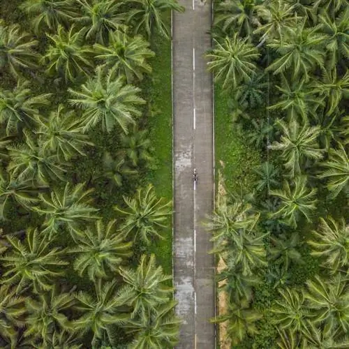 Сиаргао, Филиппины