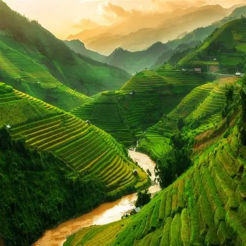 Му Канг Чай, Вьетнам