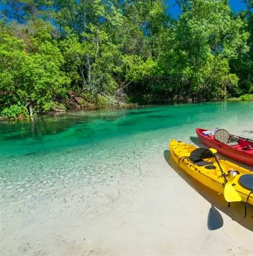 Посетите государственный парк Weeki Wachee