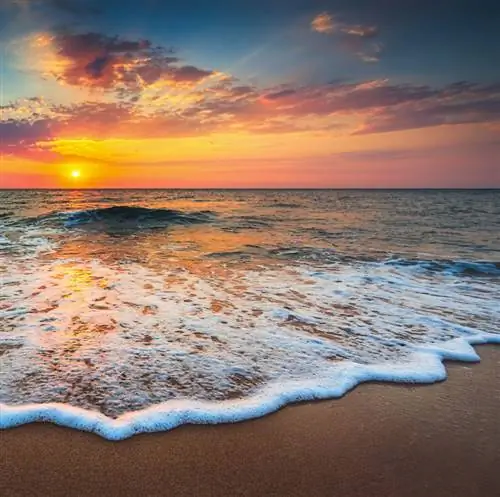 Откройте для себя направление Остров Кальдези