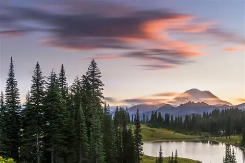10 самых необычных развлечений в штате Вашингтон