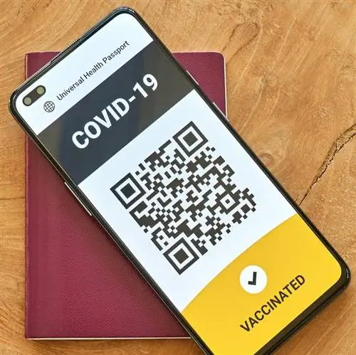 Паспорт универсальной вакцины на телефоне Паспорт универсальной вакцины на телефоне