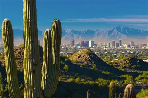 7 замечательных отелей в Финиксе