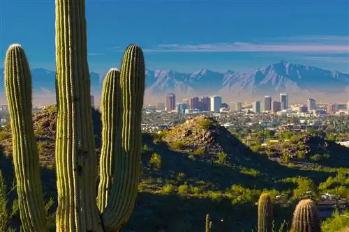 7 лучших отелей для вашей следующей поездки в Финикс, штат Аризона