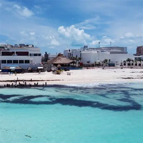 Рабочие убирают саргассум с пляжа в Канкуне