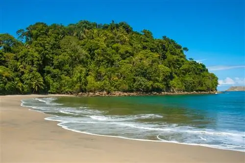 Центры по контролю и профилактике заболеваний (CDC) по-прежнему относят эти страны к группе высокого риска для путешествий