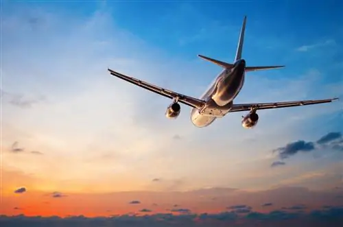 Эти 5 стран являются последними, кто облегчил въездные требования для путешественников