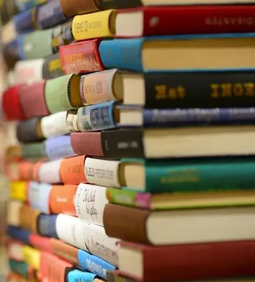 Посмотрите Книжную башню Линкольна