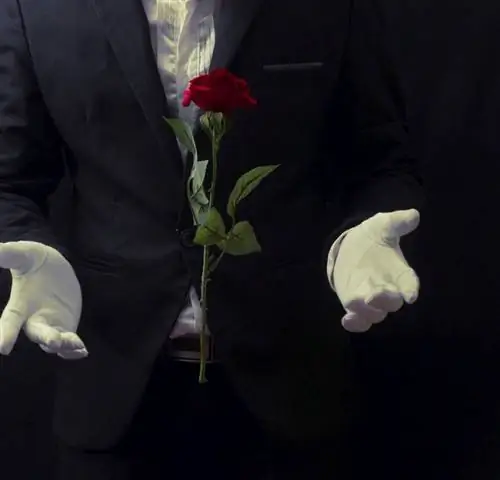 Поразительный магический запас Тиволи