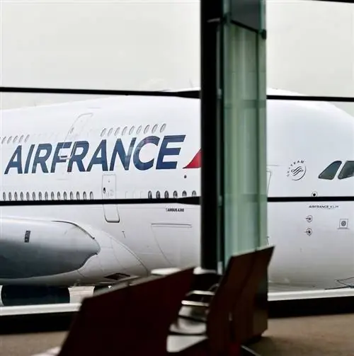 Самолеты Air France в международном аэропорту Шарль де Голль 11 июня 2016 года в Париже. Самолеты Air France в международном аэропорту Шарль де Голль 11 июня 2016 года в Париже.