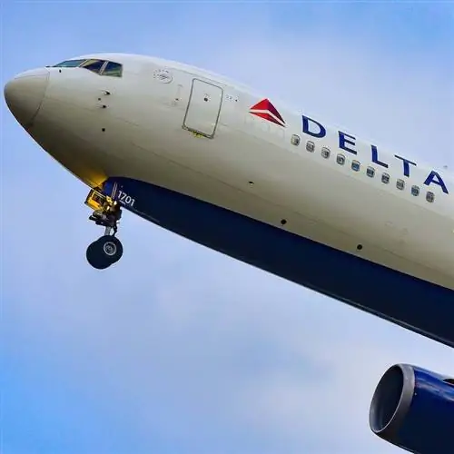 Самолет Дельта летит