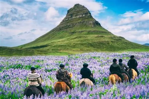 Эти 8 стран считаются самыми безопасными в мире