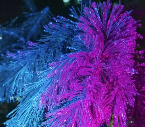 Мяу Волк Санта Фе