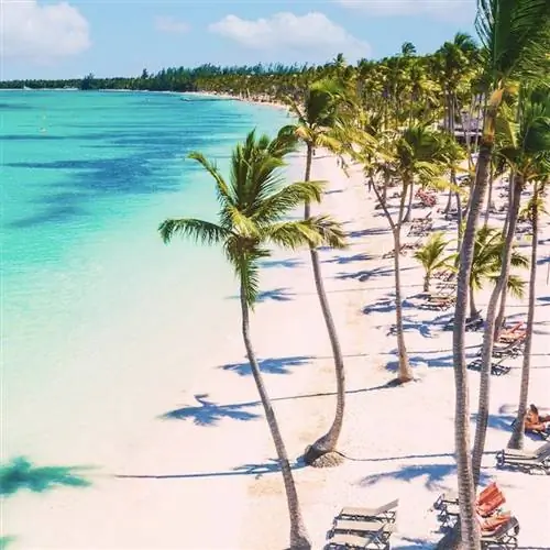 вид с высоты птичьего полета на пальмы, бирюзовую воду и пляж с розовым/белым песком в Доминиканской Республике.