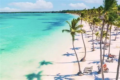 Центры по контролю и профилактике заболеваний (CDC) повышают риск для здоровья Covid до высокого уровня в одном из самых популярных направлений для американцев