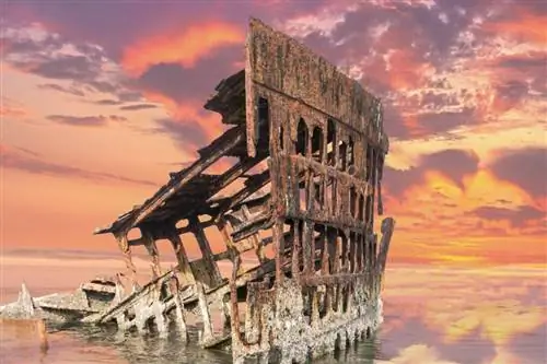 8 лучших приключений на свежем воздухе на побережье Орегона