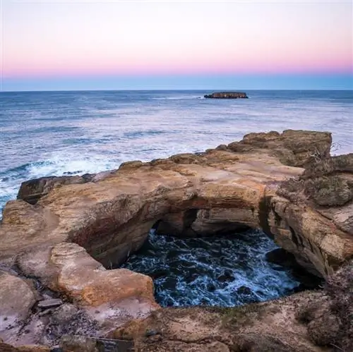 Чаша Дьявольского пунша