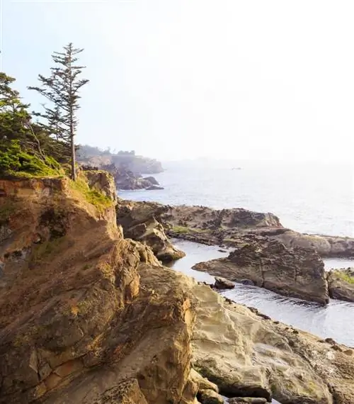 Государственный парк Шор-Эйкерс