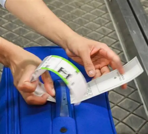 Сотрудники аэропорта проверяют сумку, прикрепив бирку рейса на боковую ручку