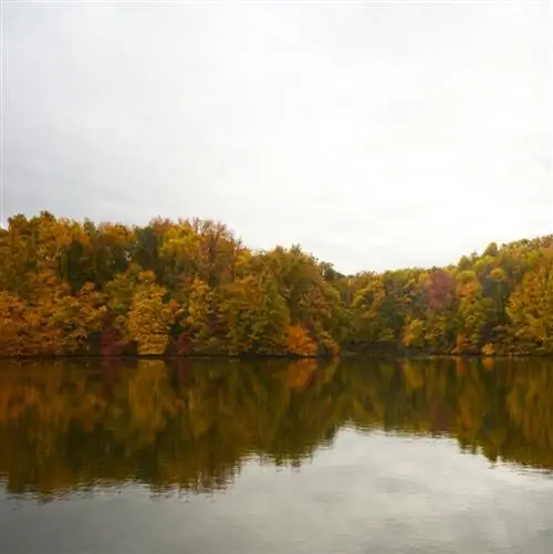 Парк Одобон в Хендерсоне, Кентукки
