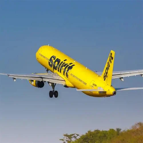 дух взлетает