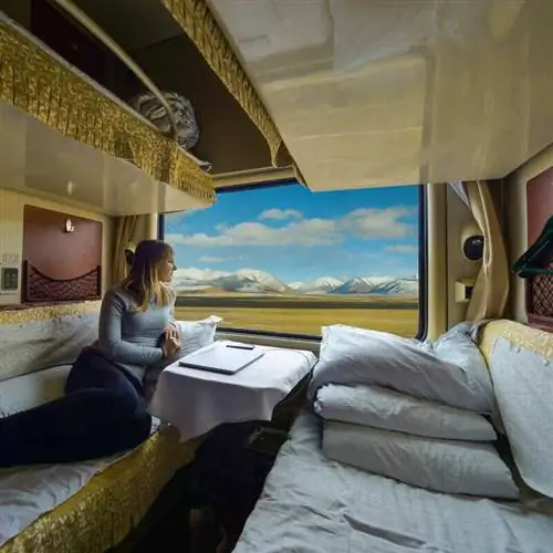 Молодая женщина смотрит в окно, совершая живописную поездку на поезде с заснеженными горами, чтобы полюбоваться видом