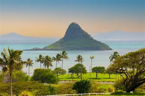 Гавайи быстро теряют популярность: почему многие путешественники говорят, что никогда не вернутся