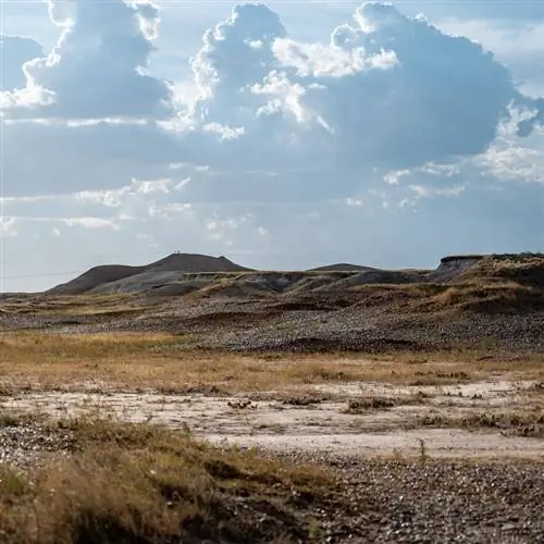 Национальные луга Буффало-Гэп в Южной Дакоте