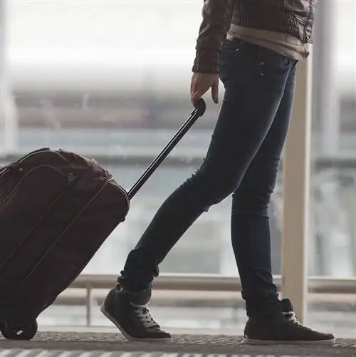 Путешественник с ручной кладью