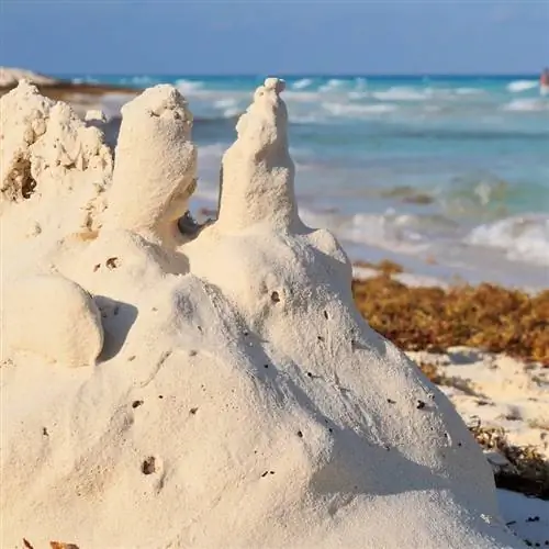 Канкун, Мексика; 20 марта 2015 года: песок и пляжи Ривьеры Майя в Карибском море с саргассумом