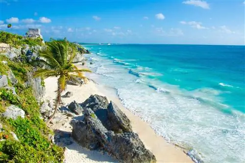 Роскошный бренд Nobu откроет отель в Тулуме