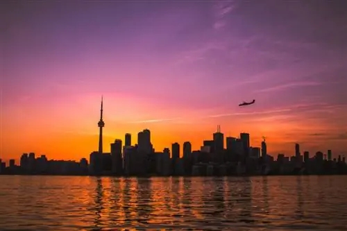 Этой осенью запускается новая канадская бюджетная авиакомпания – вот все направления, которые они обслуживают