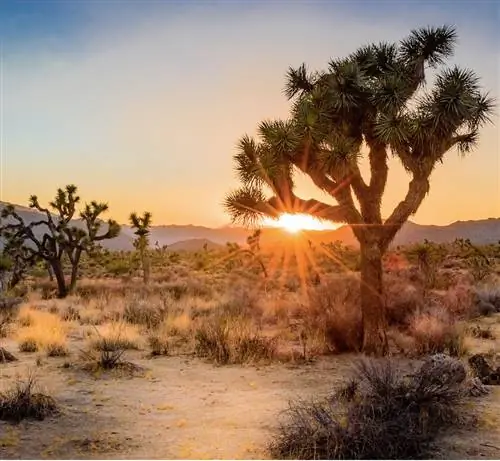 Приятная погода