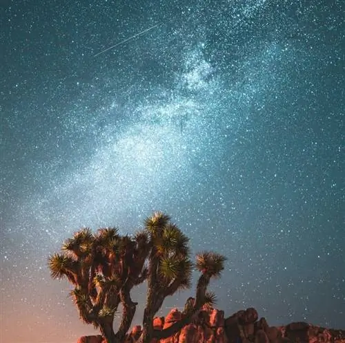 Удивительное наблюдение за звездами