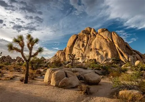 Красивые походы по пустыне