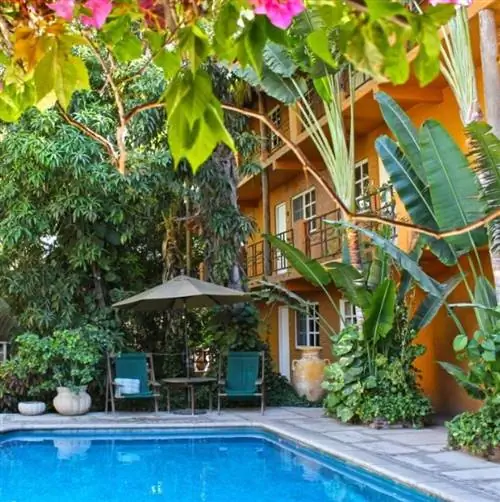 Вид на бассейн отеля Bungalows