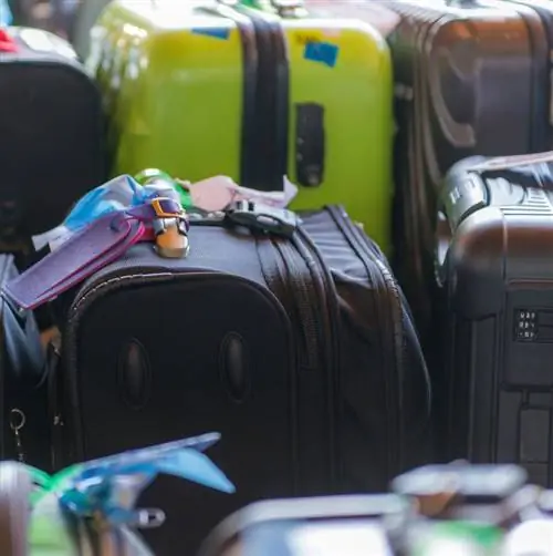 Багаж выстроился в очередь в аэропорту