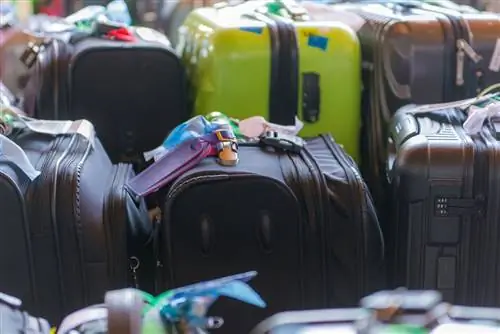 Эти авиалинии США оказались самыми худшими из-за неправильного обращения с багажом на фоне хаоса в путешествиях