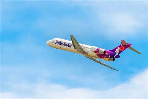 Это самые надежные авиакомпании США в условиях хаоса в путешествиях