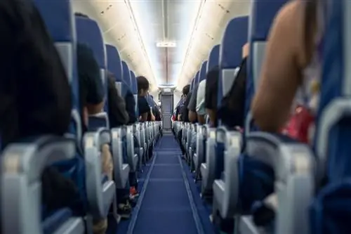 Как и когда найти лучшие предложения авиабилетов по данным Google