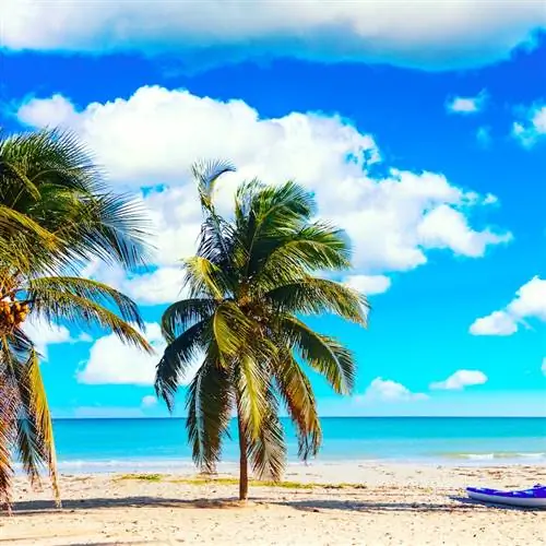 Фон отпуска. Тропический пляж Варадеро на Кубе с парусниками и пальмами в летний день с бирюзовой водой