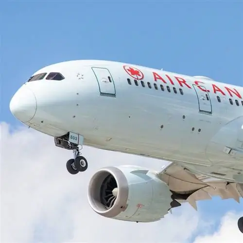 Самолет Air Canada на фото в воздухе