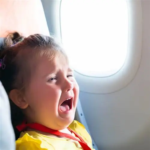 кричащая девушка в самолете