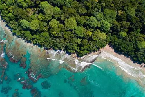 Коста-Рика стала лучшим направлением Центральной Америки: вот почему вам следует посетить