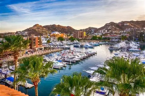 Исследования показывают, что Лос-Кабос - одно из самых безопасных мест в Мексике