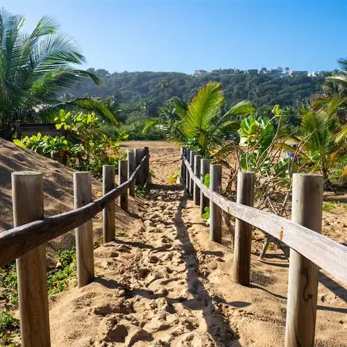 Деревянный забор на пляже Агуадилья, Пуэрто-Рико