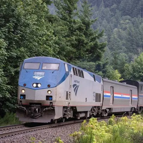 поезд амтрак в лесу