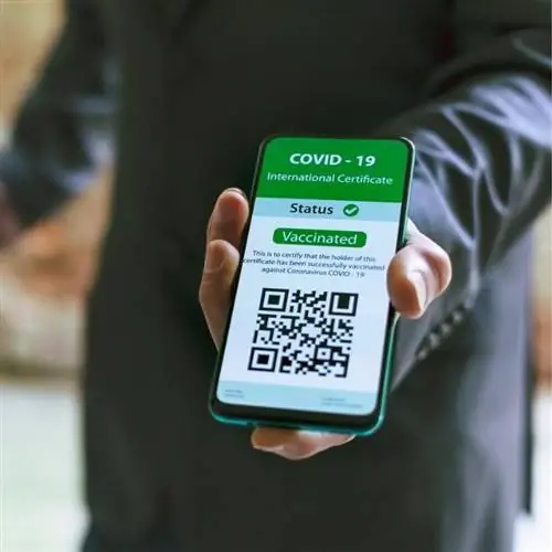 Паспорт на вакцину отображается на телефоне