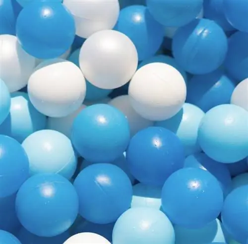 Посетите фабрику цветов