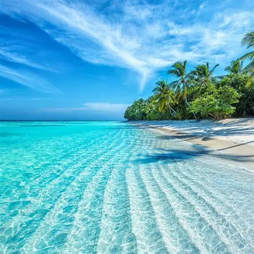 Тропический вид на пляж, Карибские острова Путешествие в солнечные места